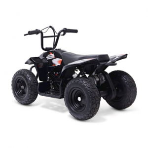 Zinc ATV Electric Ride-On Quad Bike