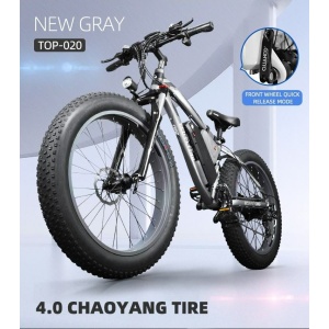 Hi-Flying Top 020 ECO Electric Bike - Grey & Black - SALE **FREE DELIVERY**