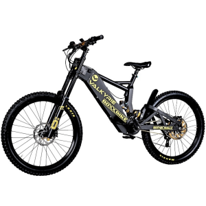 Electric Bikes